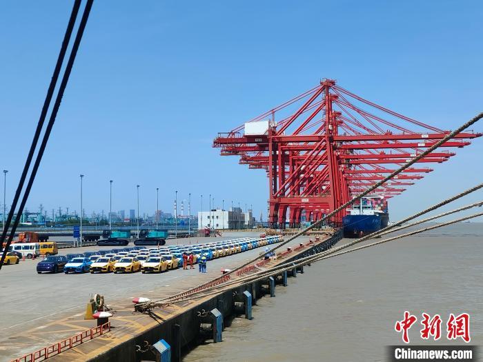 资料图：国产新能源车在上海外高桥港区海通码头“整装待发”。　浦帆 摄